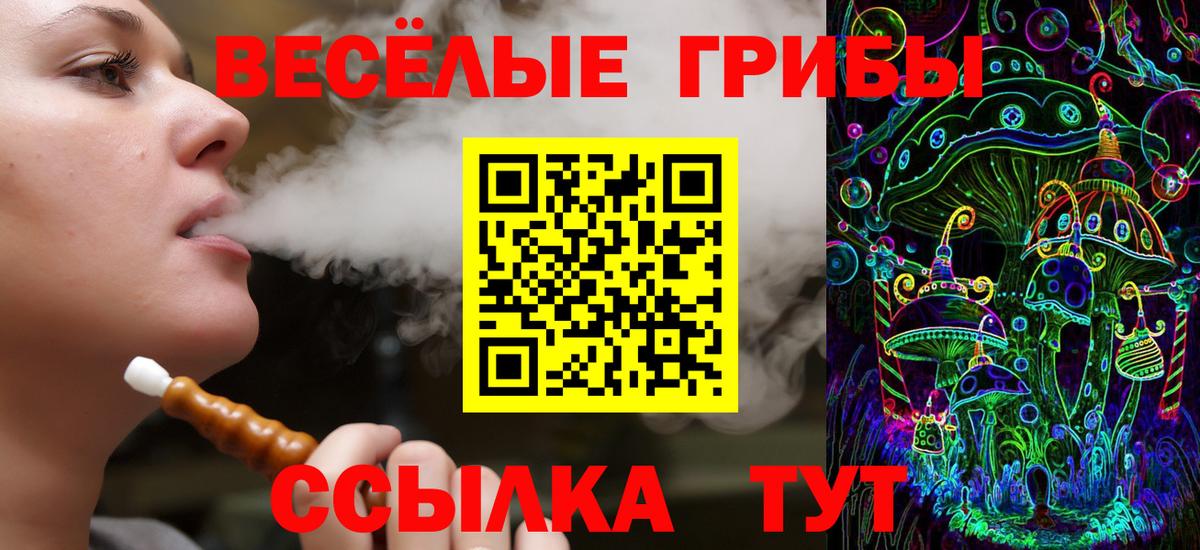 Рославль  Галлюциногенные грибы Cubensis  Псилоцибиновые грибы Cubensis  Вход с VPN 